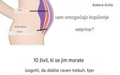 10 živil, ki se jim morate izogniti, da bi dobili raven trebuh, o katerem ste vedno sanjali