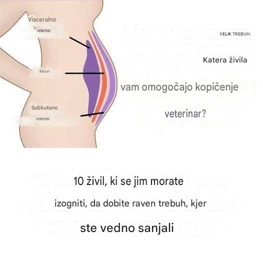 10 živil, ki se jim morate izogniti, da bi dobili raven trebuh, o katerem ste vedno sanjali