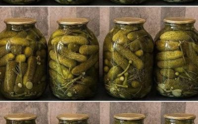 Ne steriliziram kozarcev, ne prekuham pokrovov: Tako vsako leto shranjujemo kumare za zimo – preizkušen družinski recept
