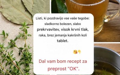 Ali trpite zaradi visokega krvnega sladkorja, nenadzorovanega krvnega tlaka ali slabe prekrvavitve in se bojite zanašati se izključno na zdravila? Z lovorovim listom in timijanom lahko v le nekaj minutah pripravite naravni čaj, ki lahko podpira prekrvavitev, krvni tlak in splošno ravnovesje telesa.
