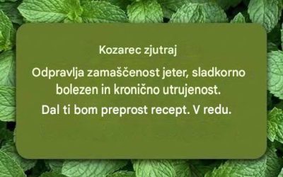 Meta in limona: Domače zdravilo, ki v nekaj minutah očisti, pomladi in napolni z energijo. Celoten recept v komentarjih 👇👇✅✅