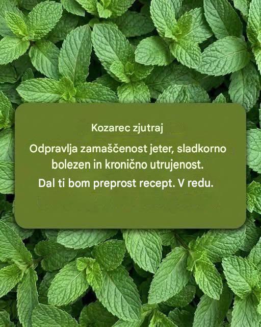 Meta in limona: Domače zdravilo, ki v nekaj minutah očisti, pomladi in napolni z energijo. Celoten recept v komentarjih 👇👇✅✅