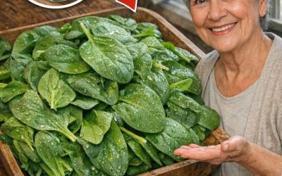 Baktericid: smrt se začne v črevesju. Ta rastlina čisti črevesje in jetra. Recept vam bom dal v zameno za preprosto soglasje.