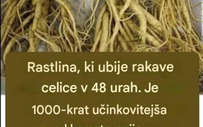 Ta korenina uniči 98 % rakov želodca, debelega črevesa, trebušne slinavke in drugih vrst raka.