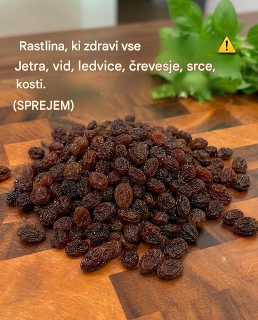 Rastlina, ki zdravi vse: ❗️jetra, vid, ledvice, črevesje, srce, kosti.