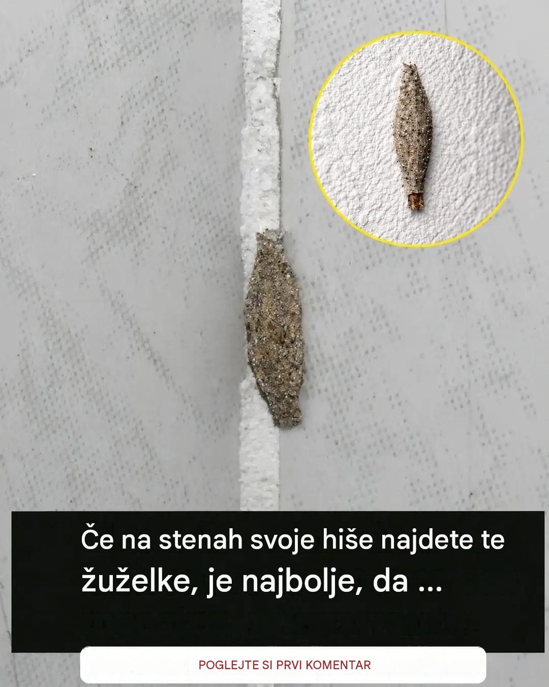 # Nisem vedel/a, kaj je to …