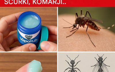 Presenetljiv trik Vicks VapoRub, ki ga ljudje poskušajo uporabiti za običajne gospodinjske škodljivce