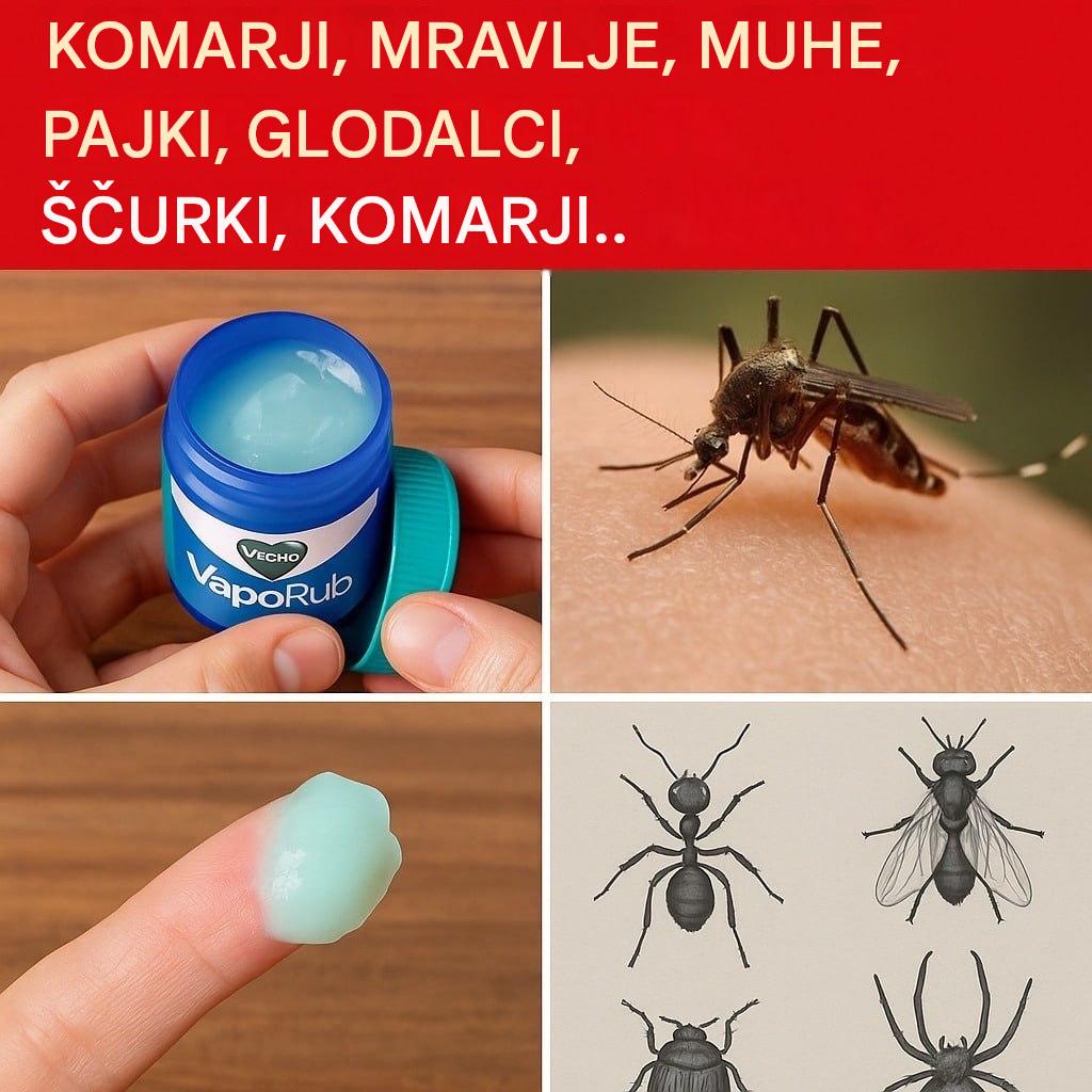 Presenetljiv trik Vicks VapoRub, ki ga ljudje poskušajo uporabiti za običajne gospodinjske škodljivce