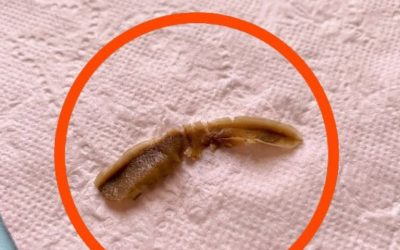 To sem po naključju naletel v kopalnici moje punce in že eno uro strmim vanj – še vedno nimam pojma, kaj naj bi to bilo.