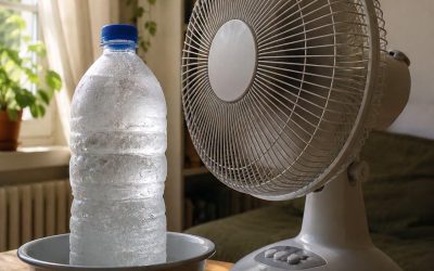 Vročinski val: Kako učinkovit je trik z zamrznjeno steklenico pred ventilatorjem?