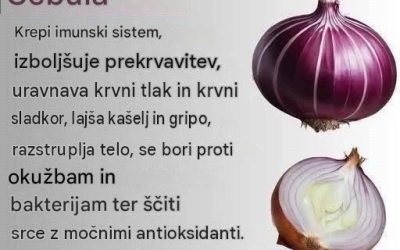 Neverjetne koristi čebule: veliko več kot le kuhinjska sestavina … Več si preberite v prvem komentarju. 👇