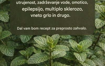 Meta in limonin sok: izboljšata spomin in odpravita… Več