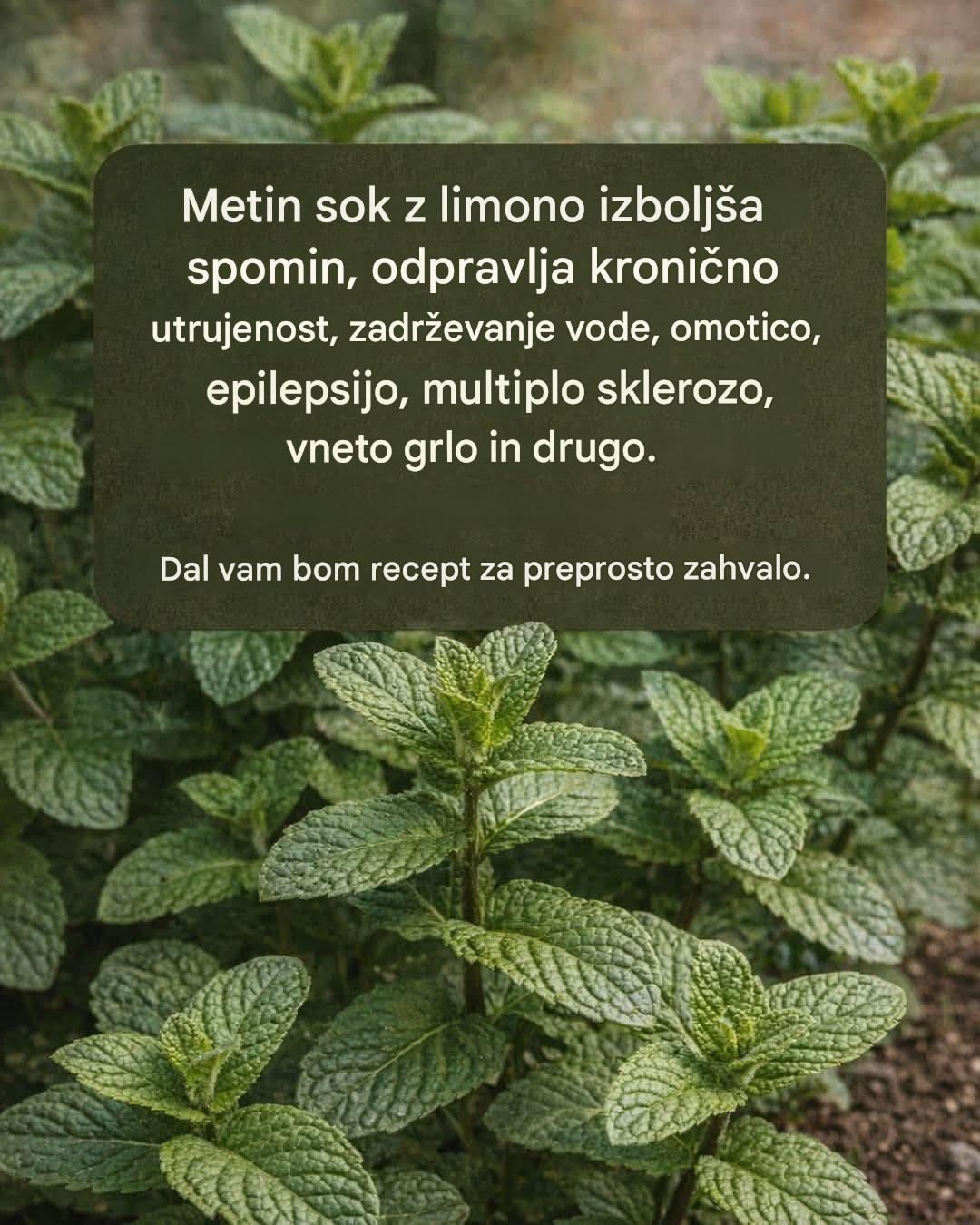 Meta in limonin sok: izboljšata spomin in odpravita… Več