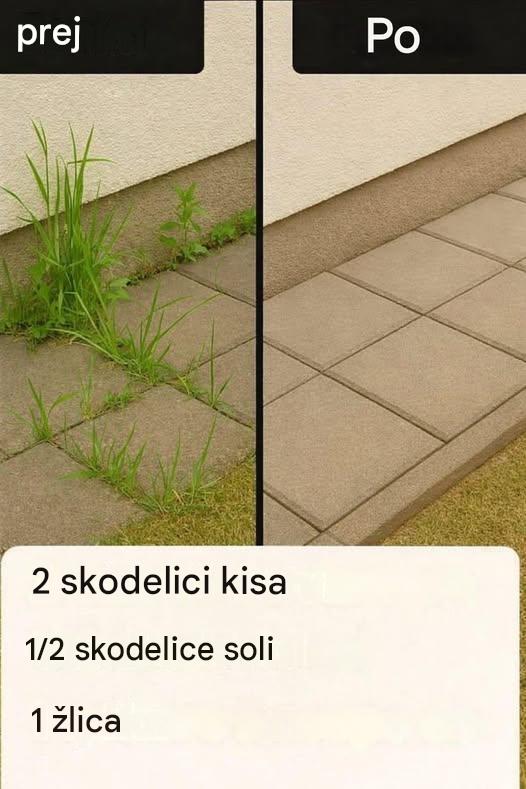 Kako narediti super učinkovit domači herbicid