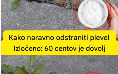 Kako se naravno znebiti plevela: 60 centov je dovolj