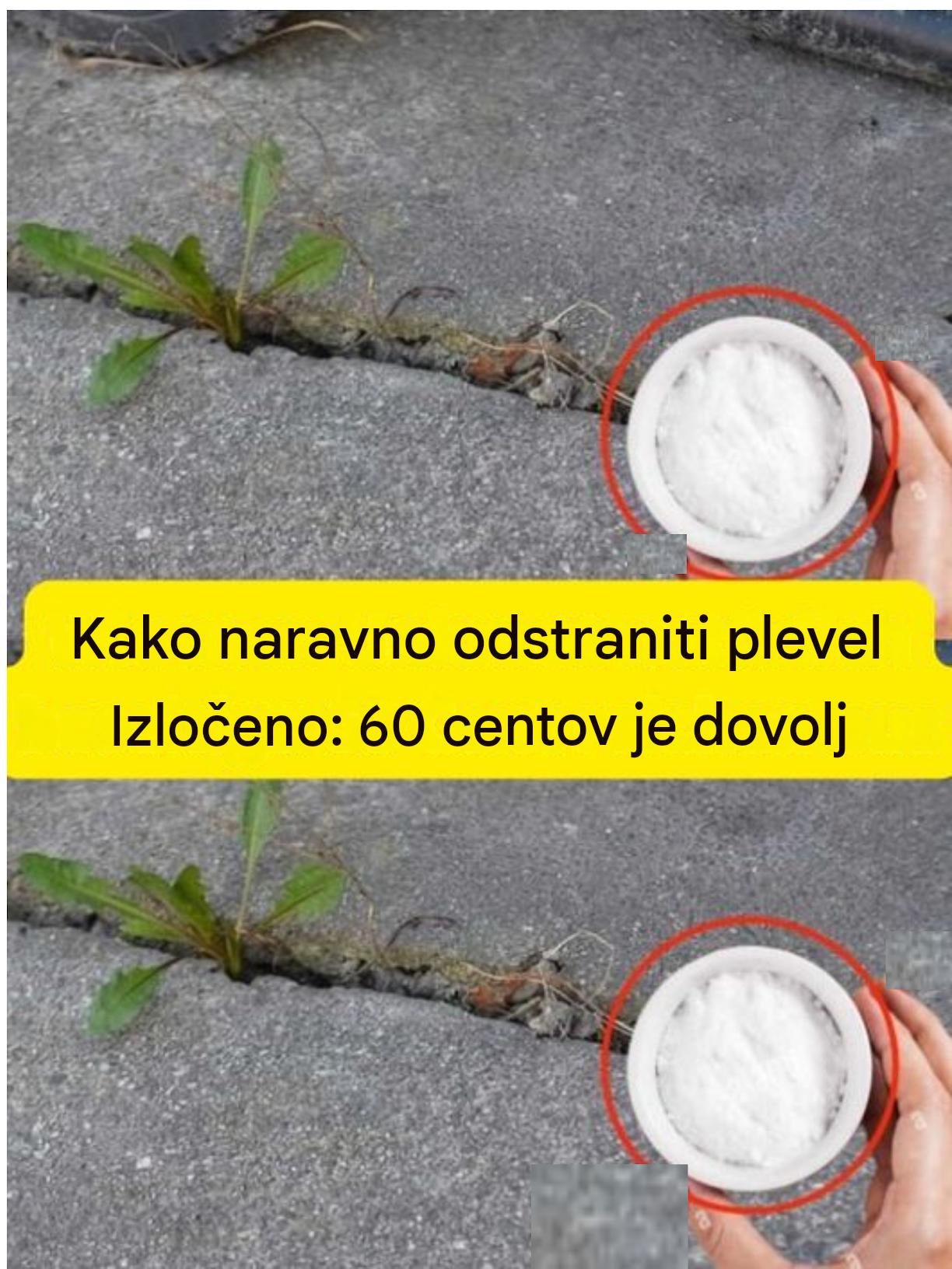 Kako se naravno znebiti plevela: 60 centov je dovolj